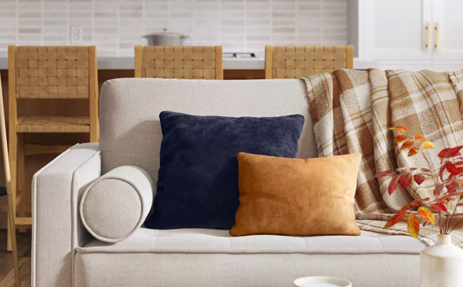 Threshold Washed Cotton Velvet Throw Pillow