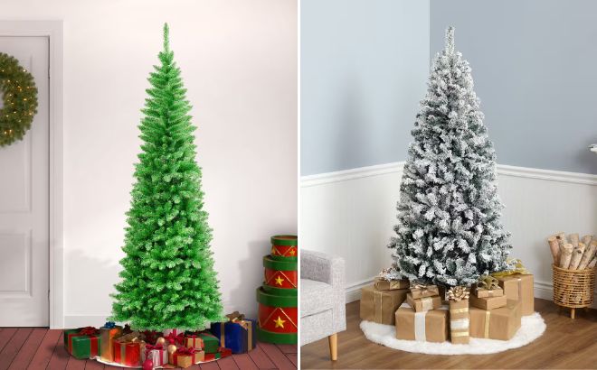 7 5ft Unlit Rowan Pencil Slim Artificial Christmas Tree and 6ft Unlit Acacia Flocked Artificial Christmas Tree 7 5ft Unlit Rowan Pencil Slim Artificial Christmas Tree and 6ft Unlit Acacia Flocked Artificial Christmas Tree