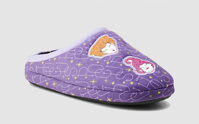 Disneys Hocus Pocus Womens Slippers on a Grey Background Disneys Hocus Pocus Womens Slippers on a Grey Background