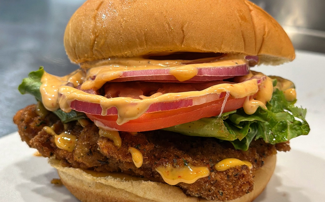 Halalbees Chicken Sandwich