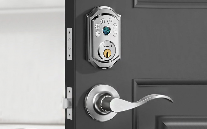 Hornbill Smart Front Door Lock