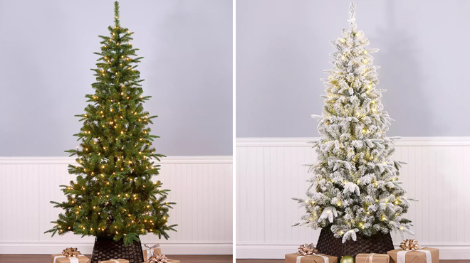 National Tree Company 7 5 ft Mixed Pine Christmas Tree and National Tree Company Flocked Pacific Mixed Pine 7 5 ft Christmas Tree National Tree Company 7 5 ft Mixed Pine Christmas Tree and National Tree Company Flocked Pacific Mixed Pine 7 5 ft Christmas Tree