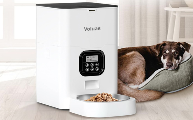 VOLUAS Automatic Cat Feeders Timed Pet Feeder for Cats and Dogs with Dry Food Dispenser