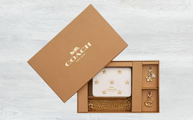 Boxed Mini Wallet On A Chain With Star Print