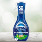 Dawn Powerwash Gain Original Dish Spray on the Table
