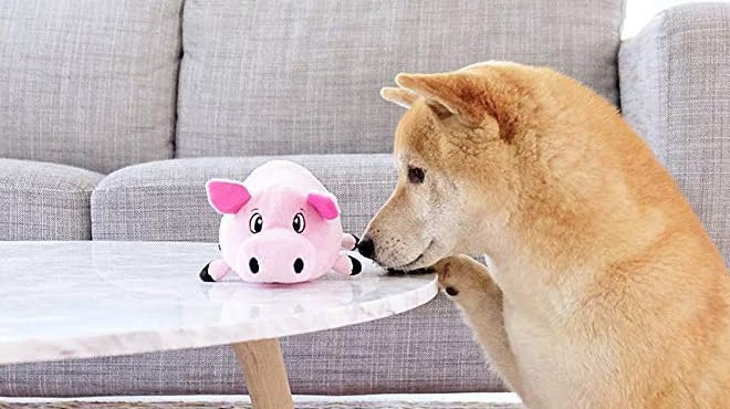 Outward Hound Fattiez Pig Plush Squeaky Dog Toy