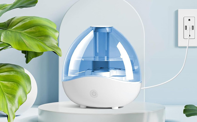 Ultrasonic Cool Mist Humidifier on a Table Ultrasonic Cool Mist Humidifier on a Table