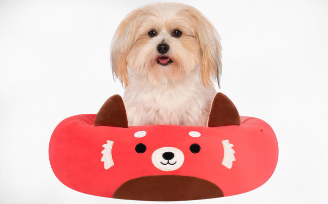 A Dog Sitting on a Squishmallows Cici The Red Panda Pet Bed A Dog Sitting on a Squishmallows Cici The Red Panda Pet Bed