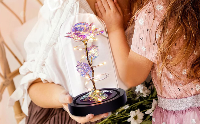 A Person Holding a Childom Light Up Rose in Glass Dome