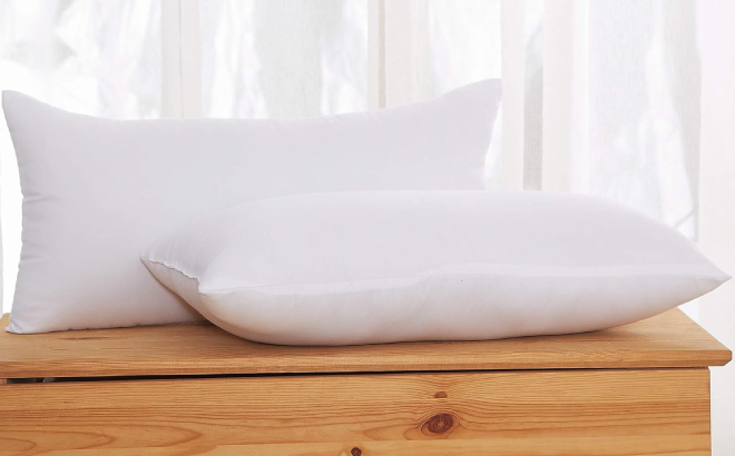 Acanva Premium Throw Pillow Inserts 2 Pack