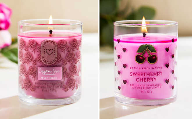 Bath Body Works Valentines Day Single Wick Candles