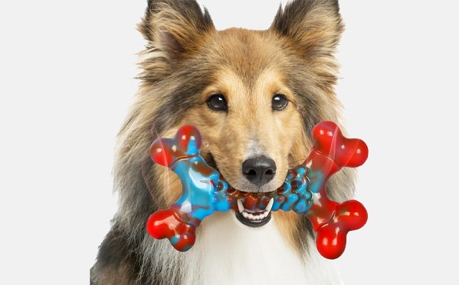 CattySafe Dog Chew Bone Toy CattySafe Dog Chew Bone Toy