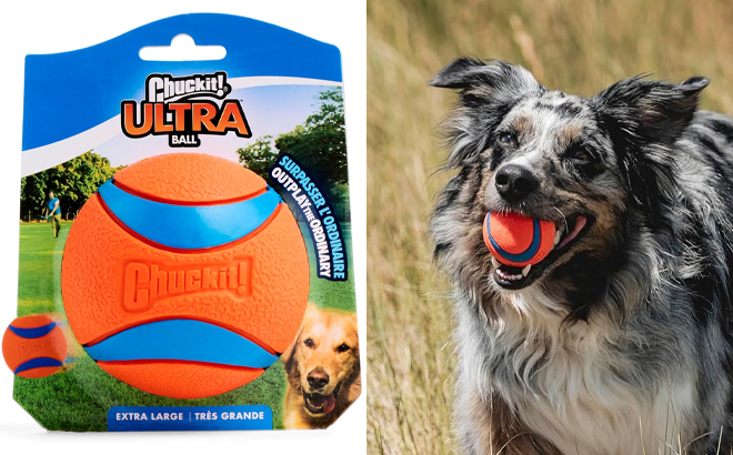 Chuckit Ultra Ball Dog Toy Size XL and Chuckit Ultra Ball Dog Toy Medium