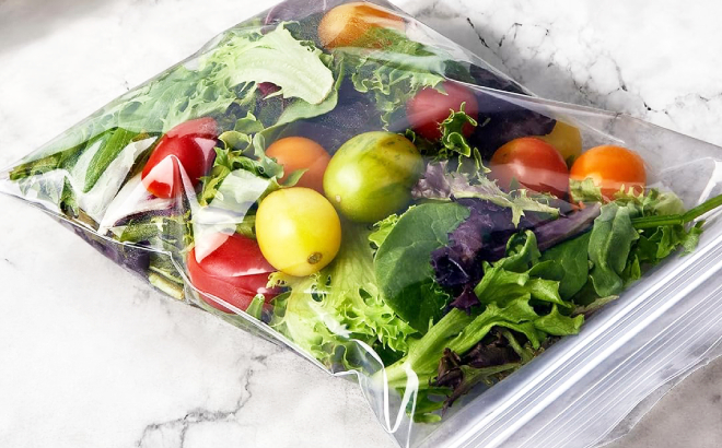 Clearware Resealable Food Storage Bag