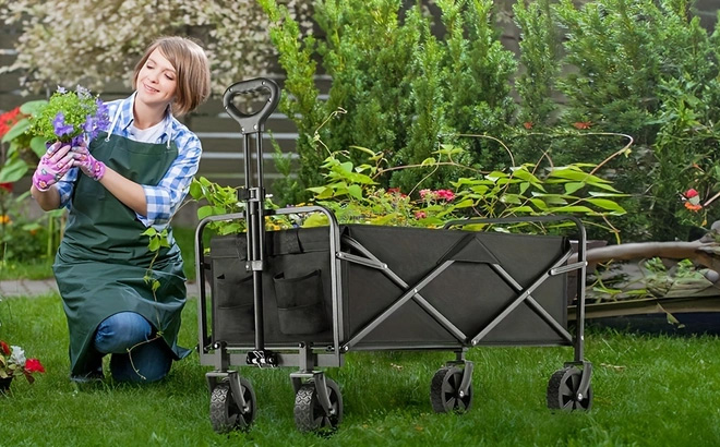 Collapsible Folding Wagon Cart