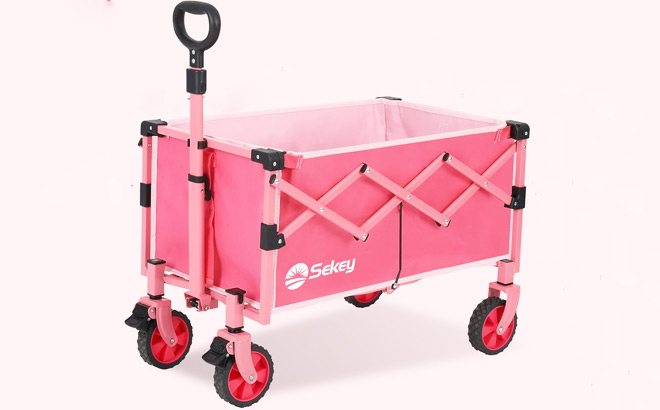 Collapsible Shopping Wagon Cart