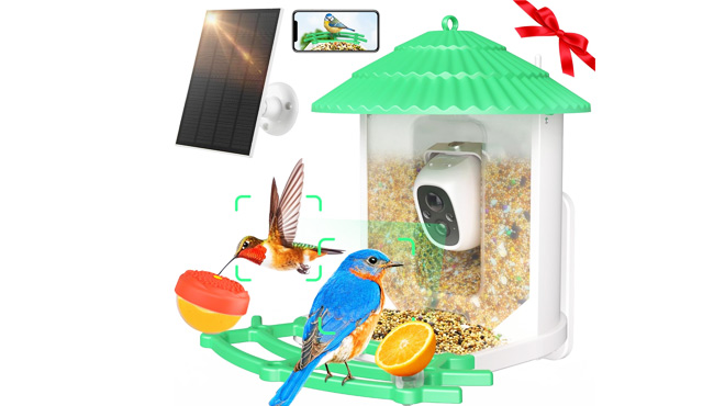 Dokoo Smart Bird Feeder with Camera