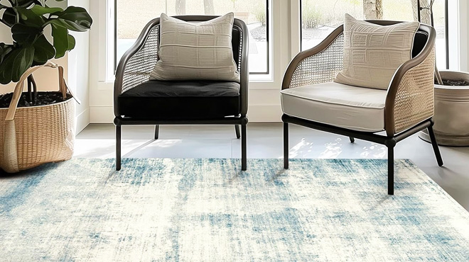 Evergrace 5x7 Area Rug