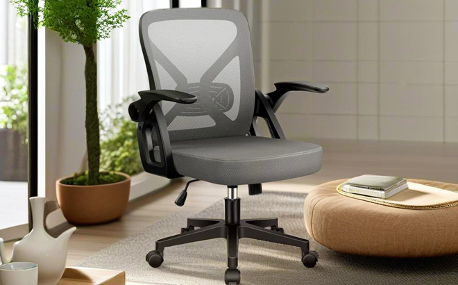 FelixKing Office Chair