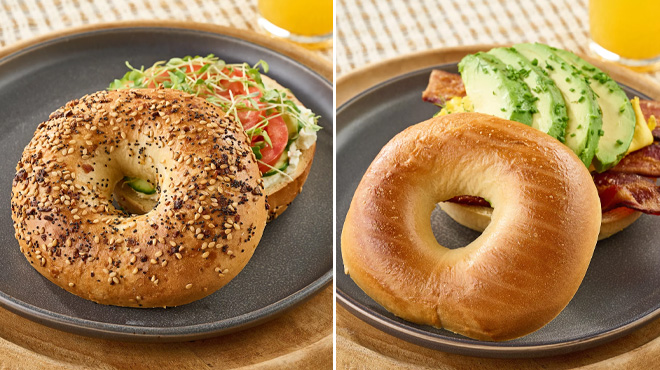 Just Bagels Just Bagels