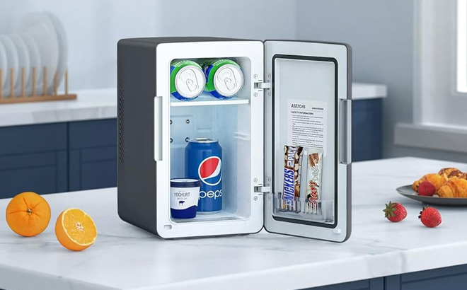 Opened Mini Fridge