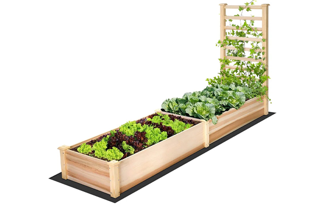 Outdoor Raised Garden Bed with Trellis for Vine Climbing