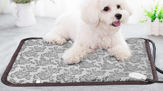 Pet Heating Pad 1