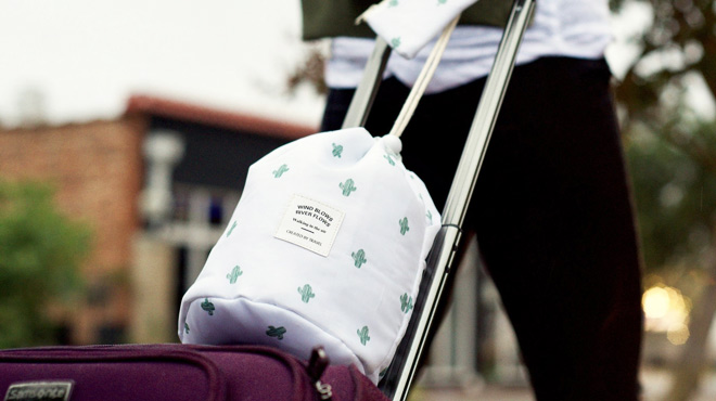 Portable Cosmetic Bag