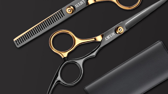 Professional Hair Cut Kit Professional Hair Cut Kit