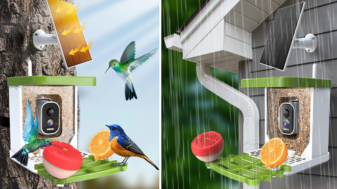 Smart Bird Feeder with Camera 1 Smart Bird Feeder with Camera 1