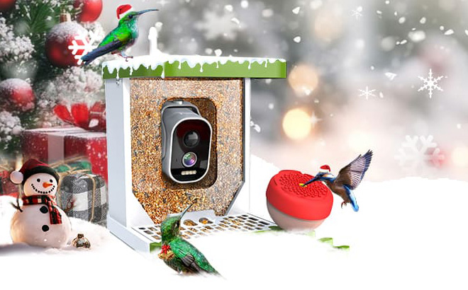 Smart Bird Feeder with Camera with Camera