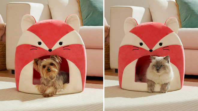 Squishmallows 16 Inch Fifi The Fox Pet Cave Squishmallows 16 Inch Fifi The Fox Pet Cave