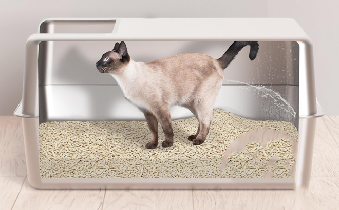 Stainless Steel Cat Litter Box with Lid Enclosed Metal Litter Box XL Extra Large Cat Litter Box with Scoop and Filter Pedal