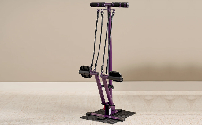 Summers Cardio Core Machine in Purple Color