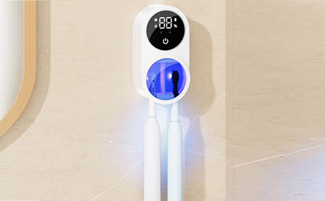 Toothbrush Cleaner Holder