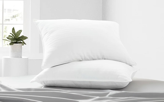 Viewstar Bed Pillows 2 Pack Viewstar Bed Pillows 2 Pack