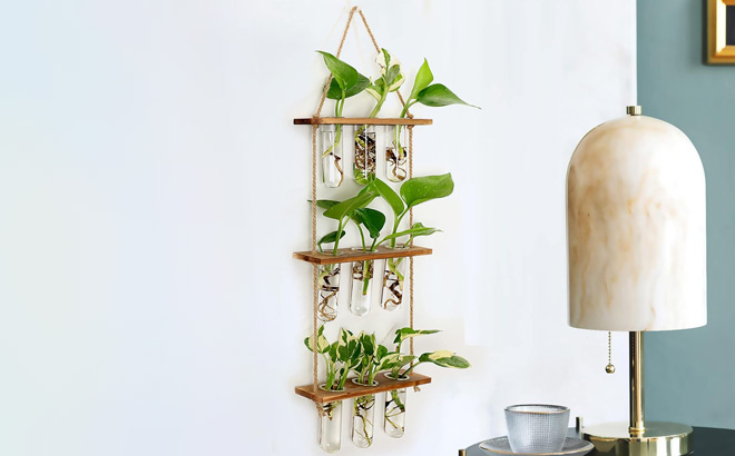 Wall Hanging Propagation Station on the Wall