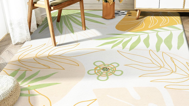 Washable 5x7 Non Slip Area Rug