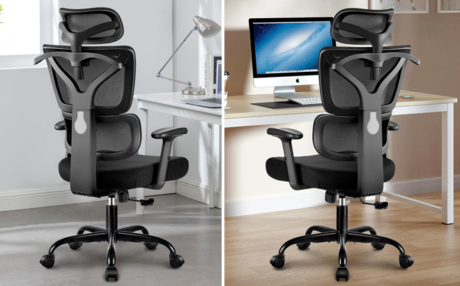 Winrise Ergonomic Office Desk Gaming Chair