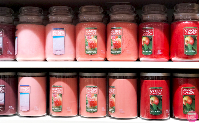 Yankee Candle Original Jar Candles and Signature Large Jar Candles on Shelves