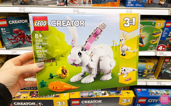 a Person Holding LEGO Set