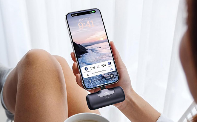 iWALK Portable Charger