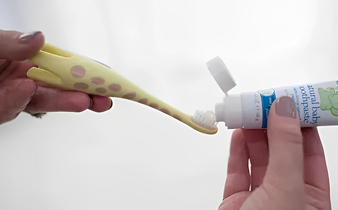 A Person Holding Dr Browns Infant to Toddler Toothbrush