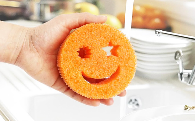 A Person Holding Kitchen Sponge