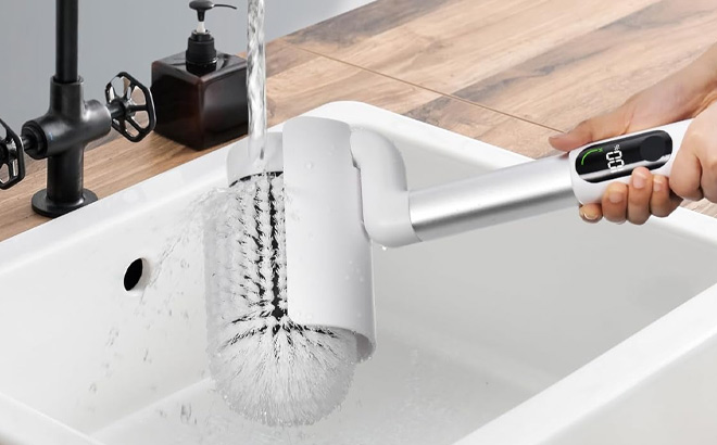 A Person Holding LyriFine Electric Spin Scrubber A Person Holding LyriFine Electric Spin Scrubber