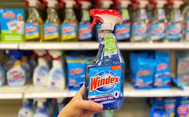 A Person Holding a Windex Glass and Window Cleaner Spray Bottle
