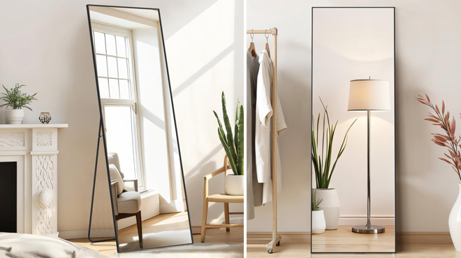 Aidoly Full Length Mirror with Stand