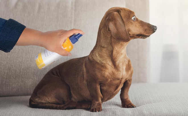 Arm & Hammer for Pets Itch Relief Spray