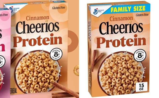 Cheerios Protein 15 Ounce Cinnamon Cereal