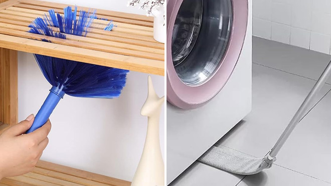 Cleaning Duster with Extension Pol